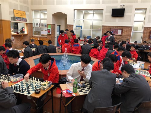 Extension Studies Pic 4